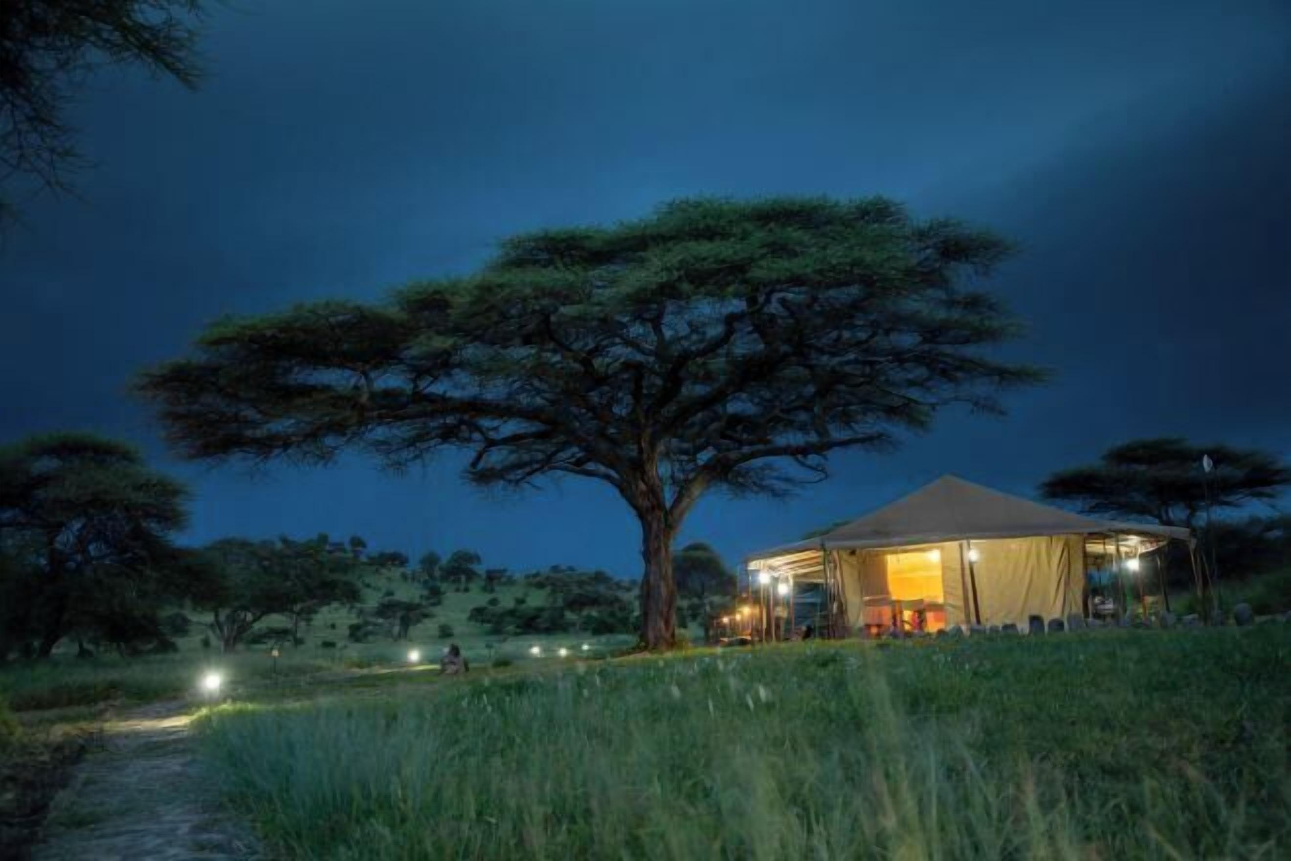 A safari lodge with a large tree in the foreground, a tented structure with lights, and a path leading to the lodge.