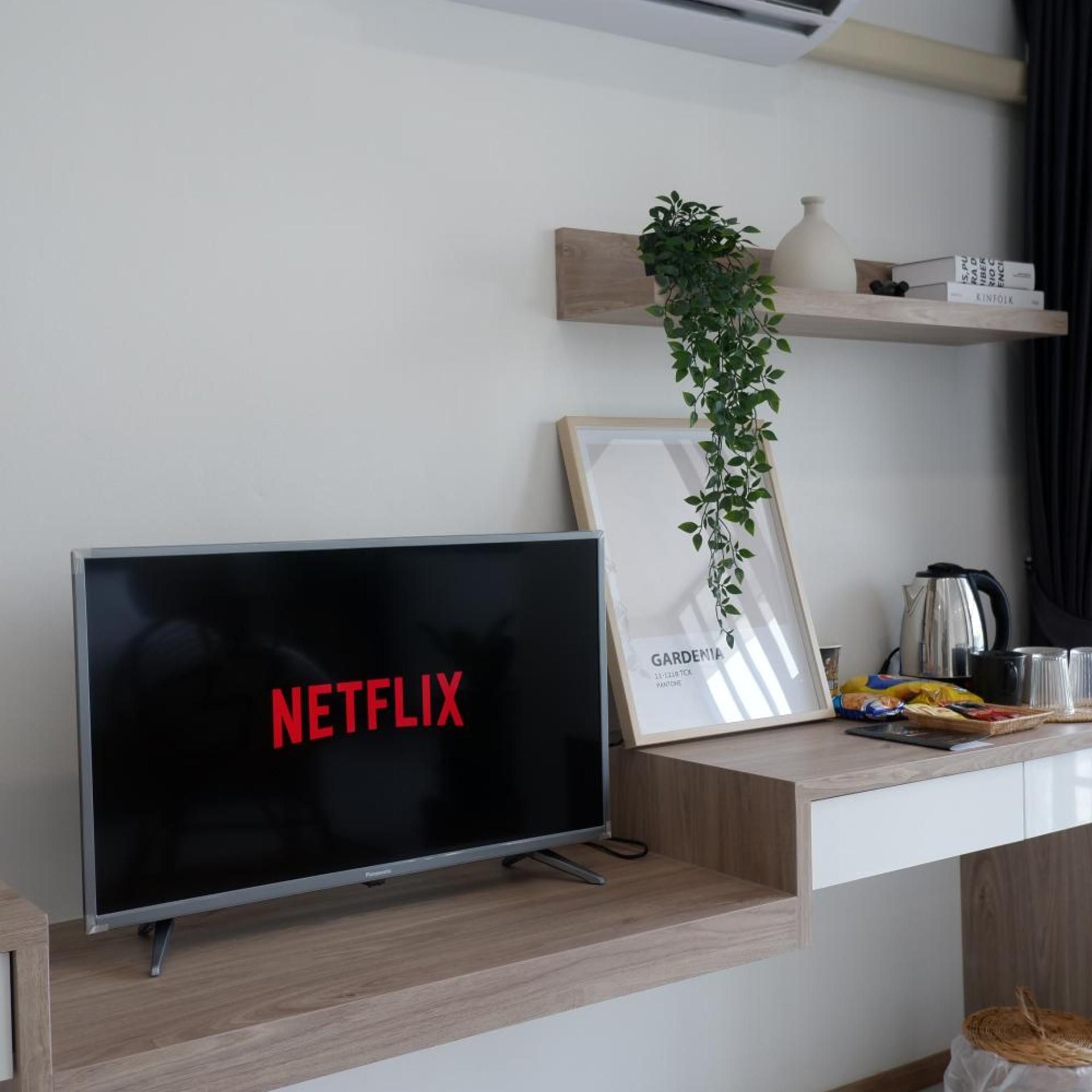 A modern living room with a flat-screen TV displaying 'NETFLIX' on the screen, a framed picture with 'GARDENIA' text, a potted plant, and a coffee maker on the counter.