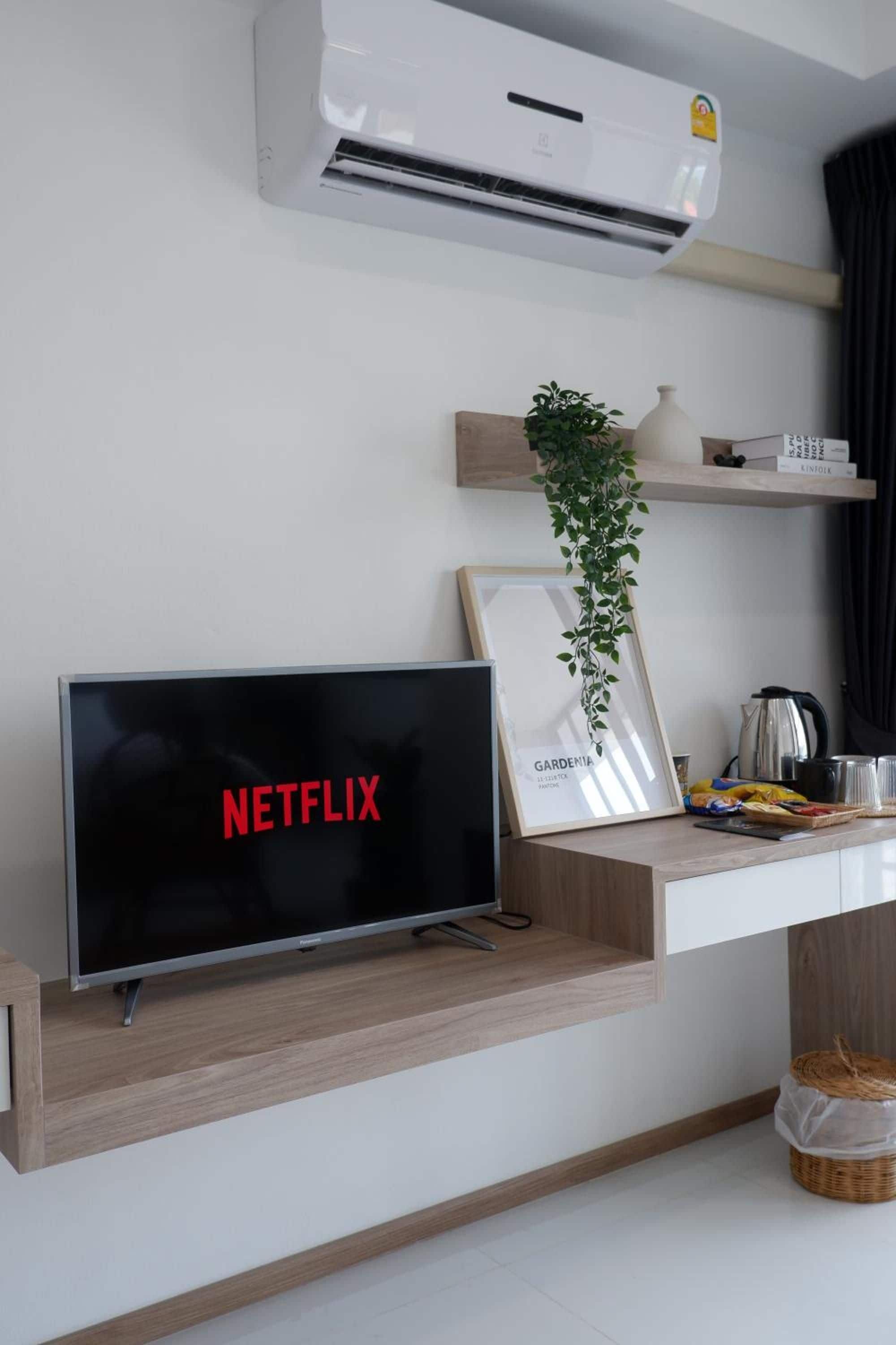 A modern living room with a mounted TV displaying the Netflix logo, a wall-mounted air conditioner, a framed picture of a plant, and a coffee maker on a wooden shelf.