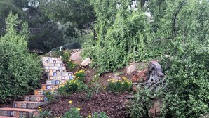 Property grounds - Pet Friendly Charming Cottage with Incredible Views and Hot-tub in Rainbow, California (Fallbrook)