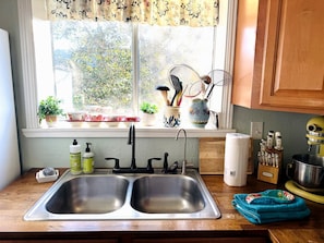A kitchen with a double sink, a window with plants, and various kitchen utensils on the windowsill.