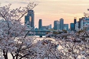Unclassified image, 3 of 15, button - SAKURA(Direct access to Kansai Airport, 2 minutes from "Sakuranomiya" Station ) (Osaka)