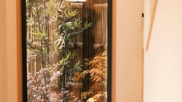 Un couloir étroit agrémenté d’une plante de bambou et d’une clôture en bois.