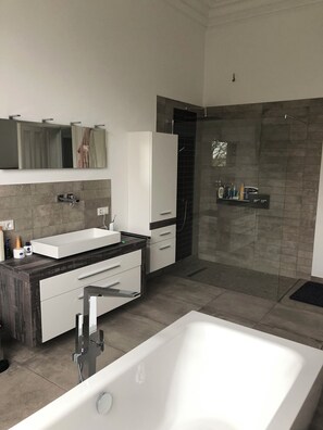 Towels, soap, shampoo, toilet paper - Manor house with pool (Toenisvorst)