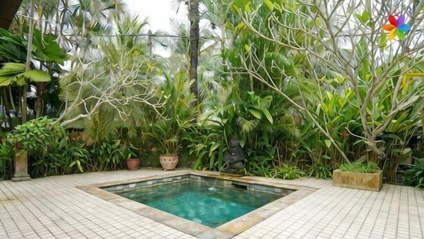 A swimming pool surrounded by potted plants and a tiled deck.