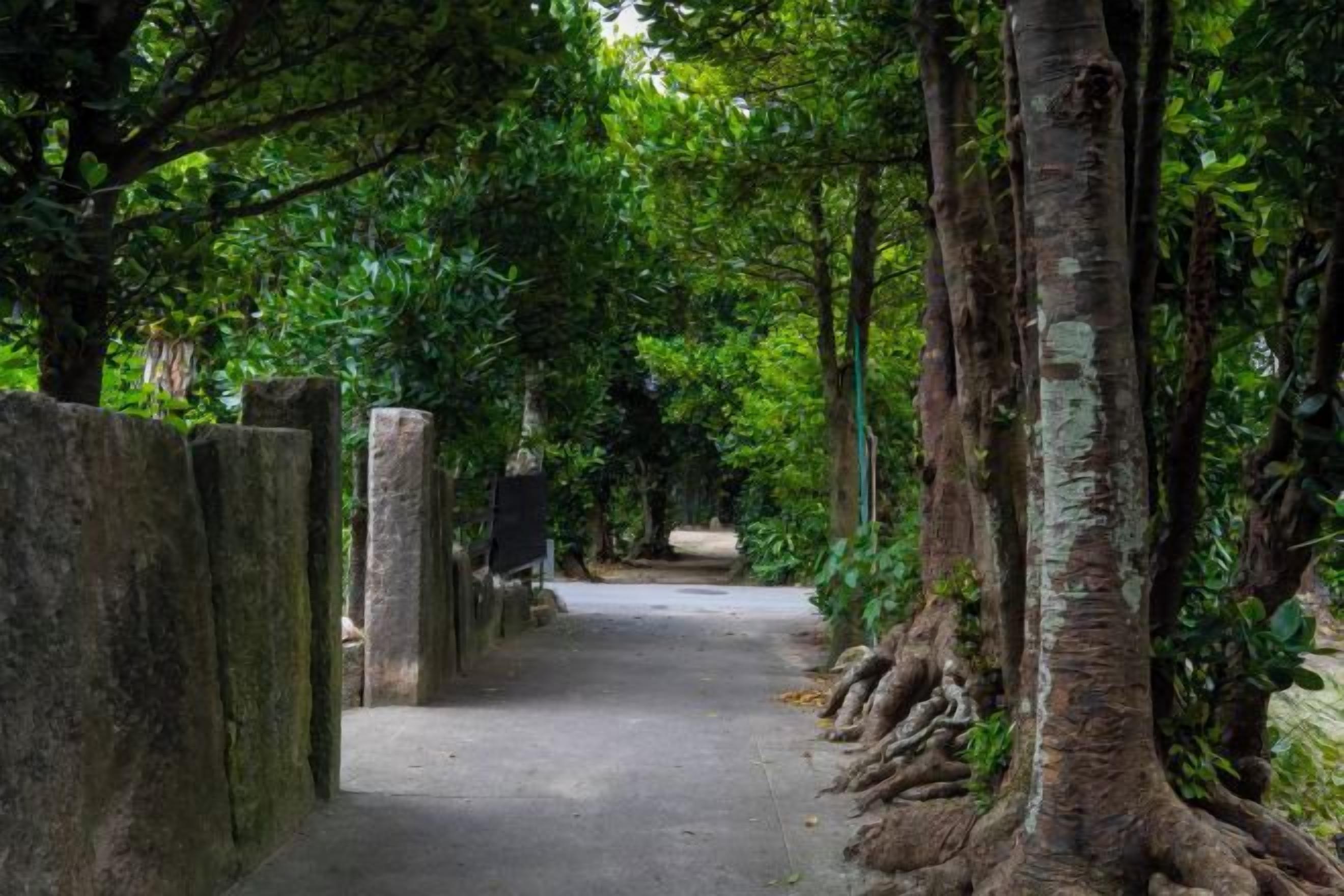 A pathway flanked by trees and stone pillars, leading to a distant structure.