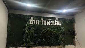 A wall with a green artificial jungle backdrop and a sign with text. - BanGoDangtia (Pak Chong)