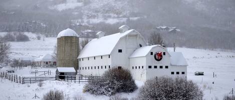 Condo, 1 chambre | Extérieur