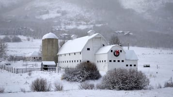 Condo, 1 Bedroom | Exterior