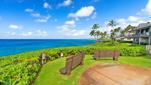 A beachfront property with a well-maintained lawn, a concrete patio, and a wooden bench.