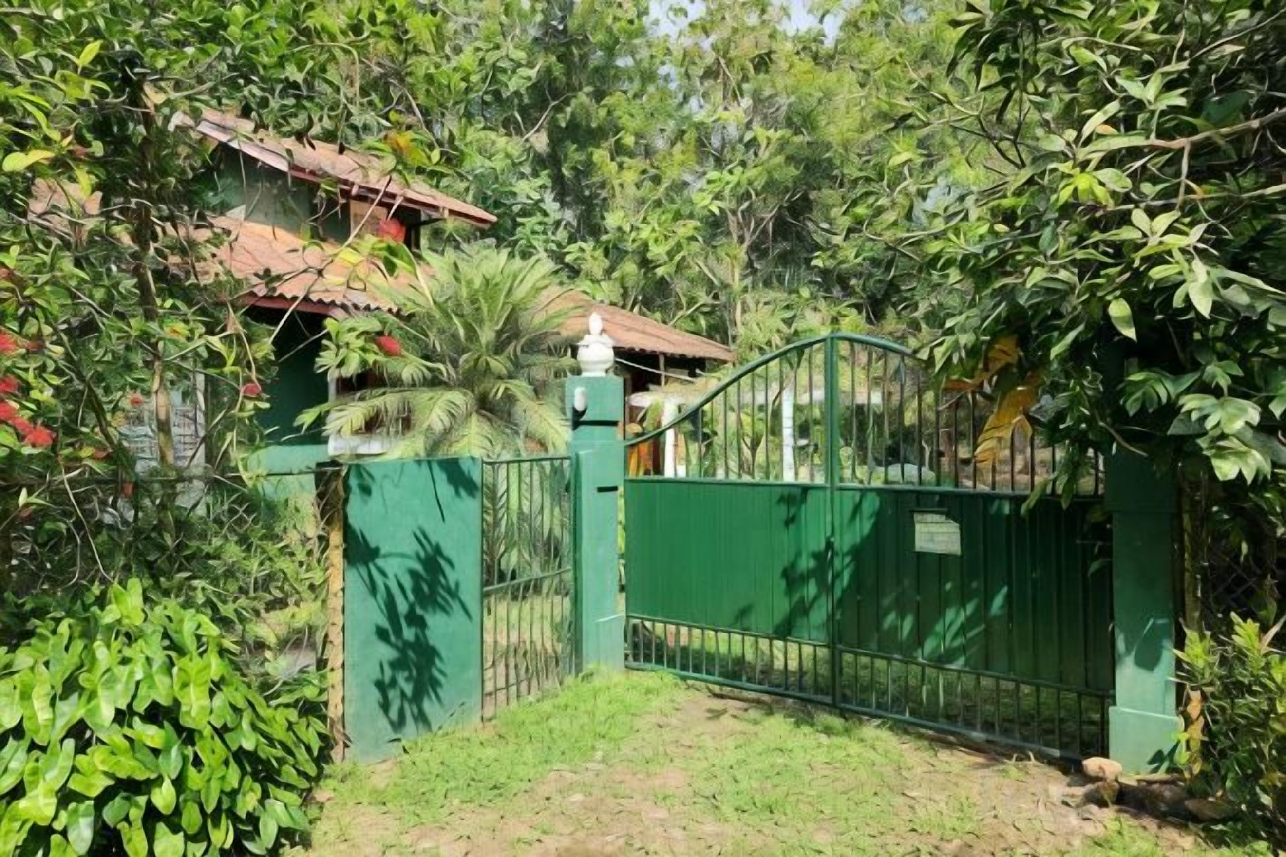 Una propiedad cercada con valla verde, una palmera y un edificio con techo rojo.