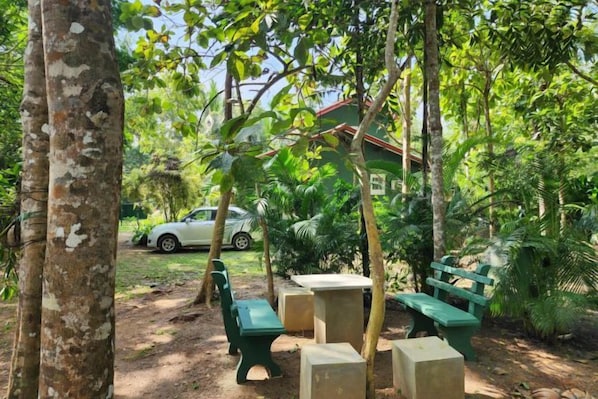 Ảnh chưa phân loại, 1 trong số 13 ảnh, nút