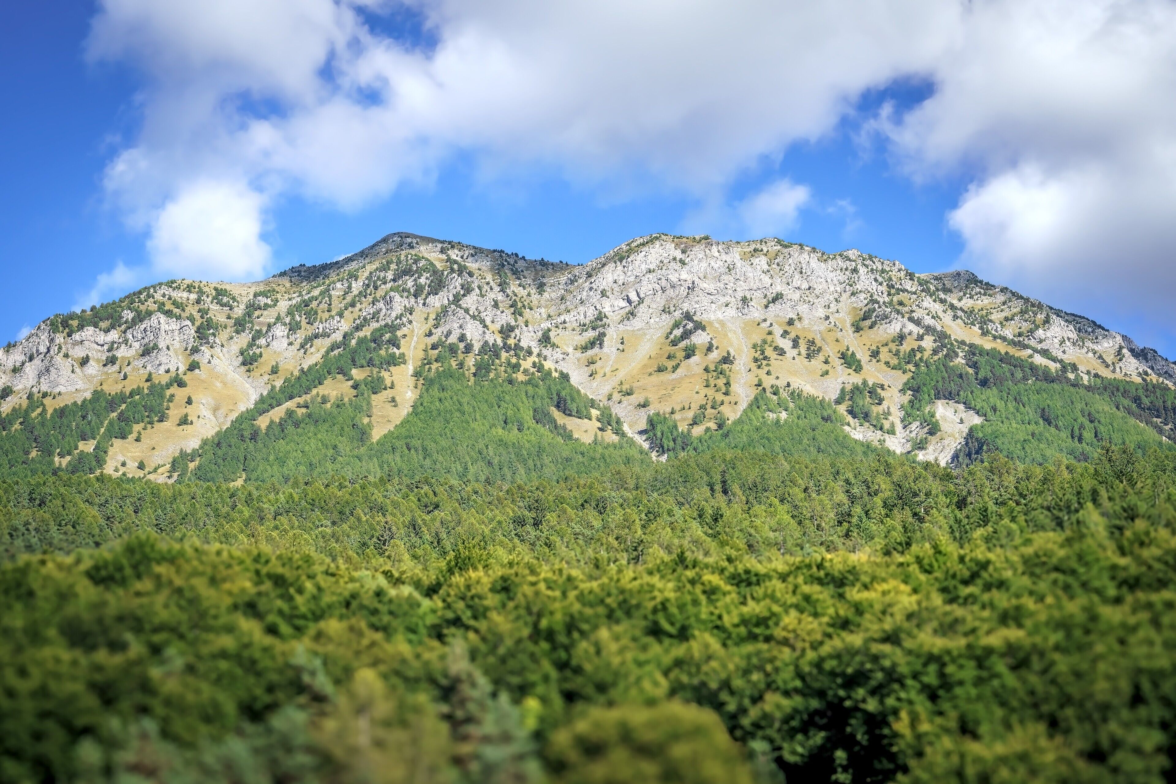 A mountain with dense forest at its base.