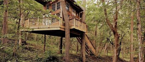 Una casa en un árbol con terraza y escaleras de madera, rodeada por un bosque.