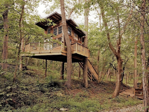 Une cabane perchée dans un arbre, dotée d’une terrasse et d’un escalier en bois, et entourée d’une forêt.