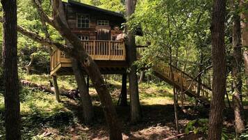 Une cabane dotée d’une terrasse en bois et d’un banc, située dans un cadre forestier.