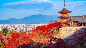 A traditional Japanese pagoda with a multi-tiered roof, surrounded by autumn foliage and a cityscape in the background. - Kyokoi Kiyomizu Gojo (Kyoto)