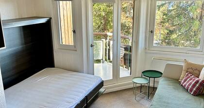 Avoriaz - Bright apartment with stunning views of the valley