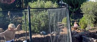 Co-Living at Casa Cocolores