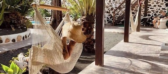Co-Living at Casa Cocolores