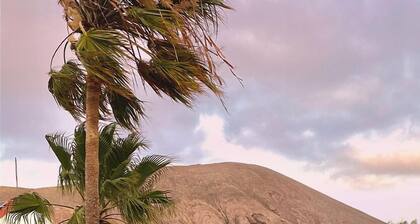 Co-Living at Casa Cocolores