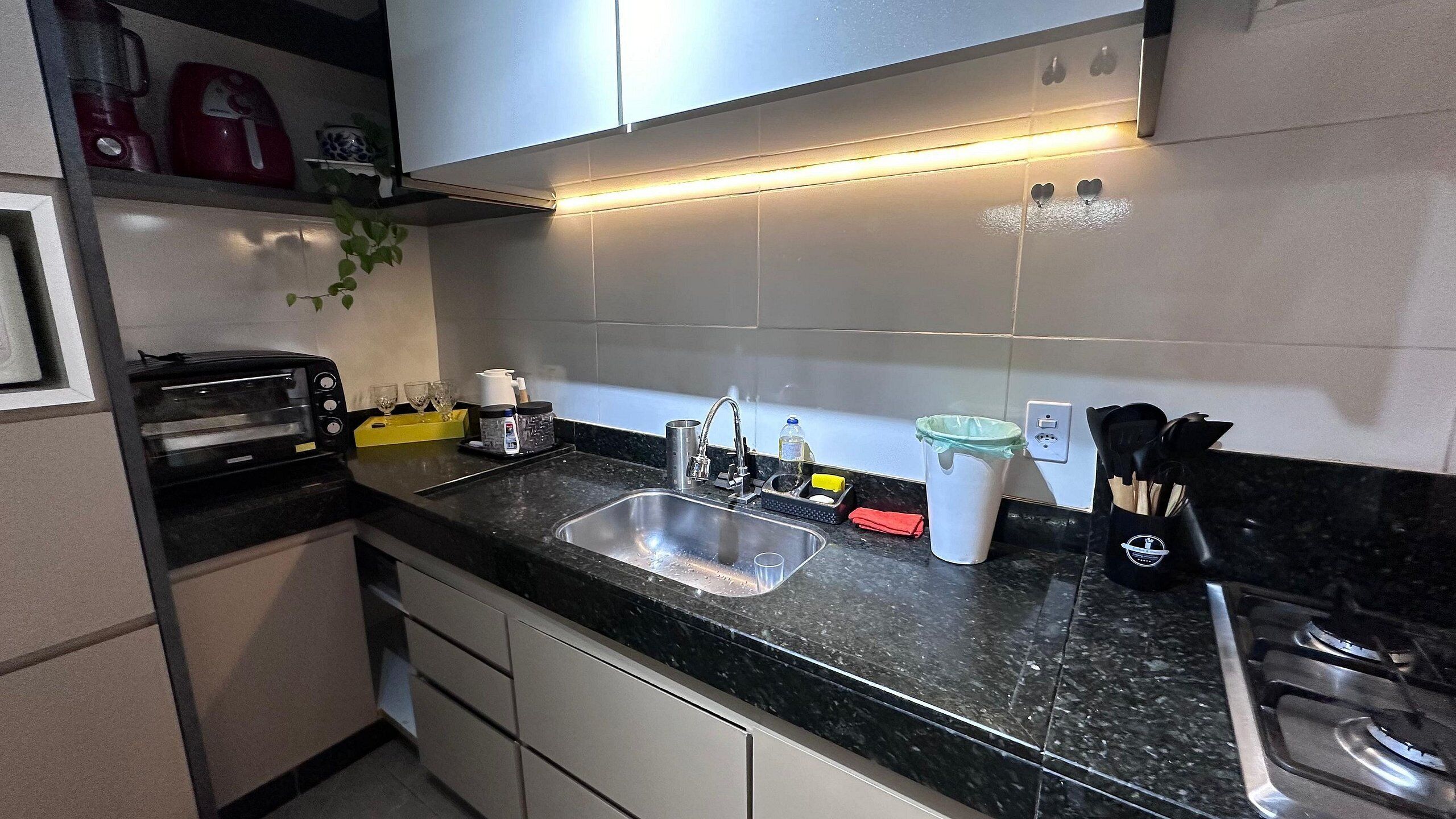 A kitchen with a sink, a toaster, a coffee maker, and a plant.