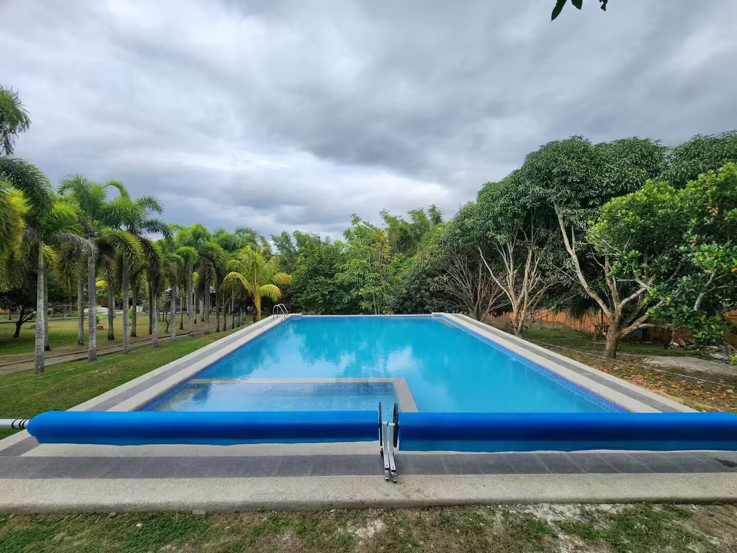Una piscina rettangolare con un coperchio blu, circondata da vegetazione lussureggiante e alberi.