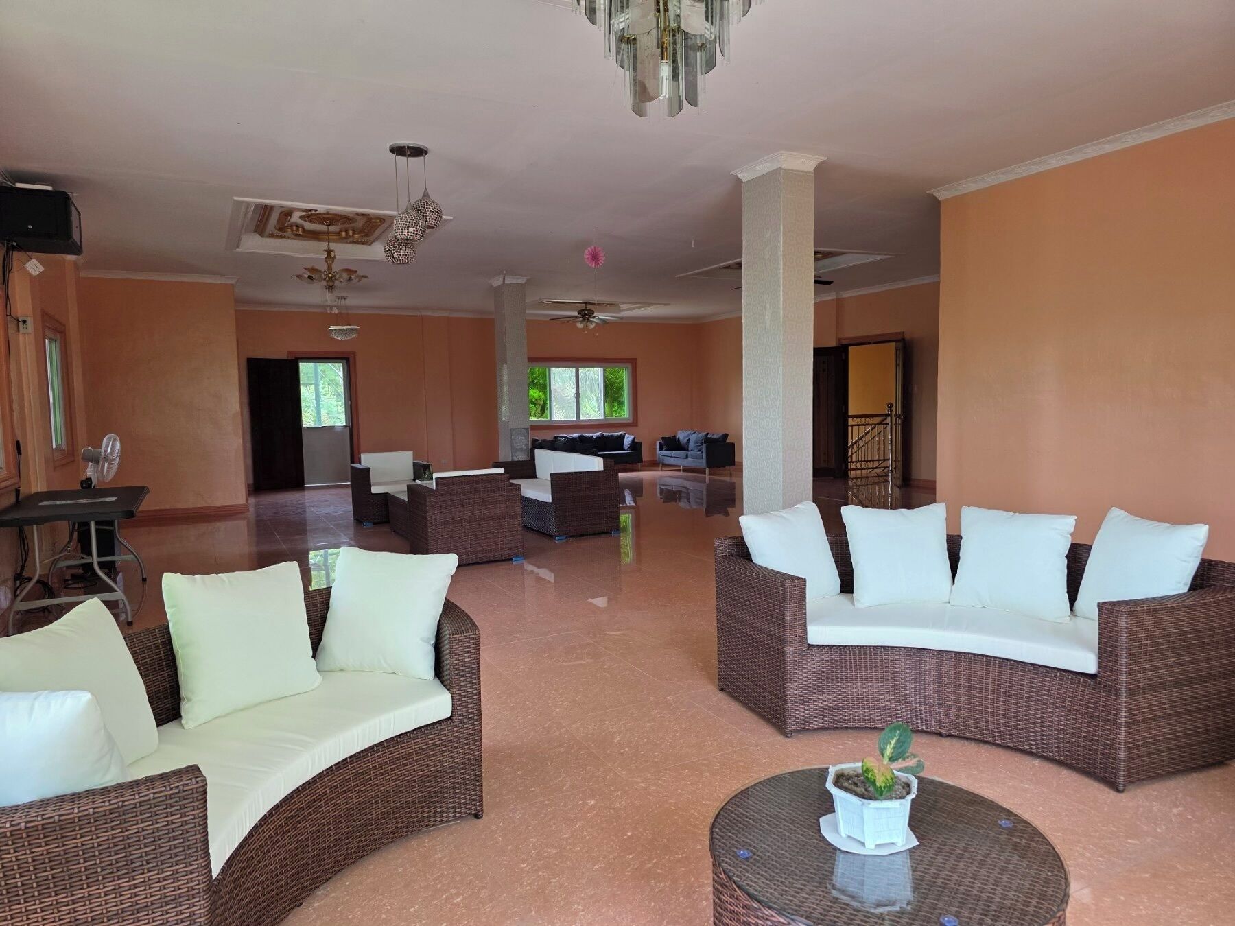 A spacious lobby with wicker furniture, a ceiling fan, and a small potted plant.