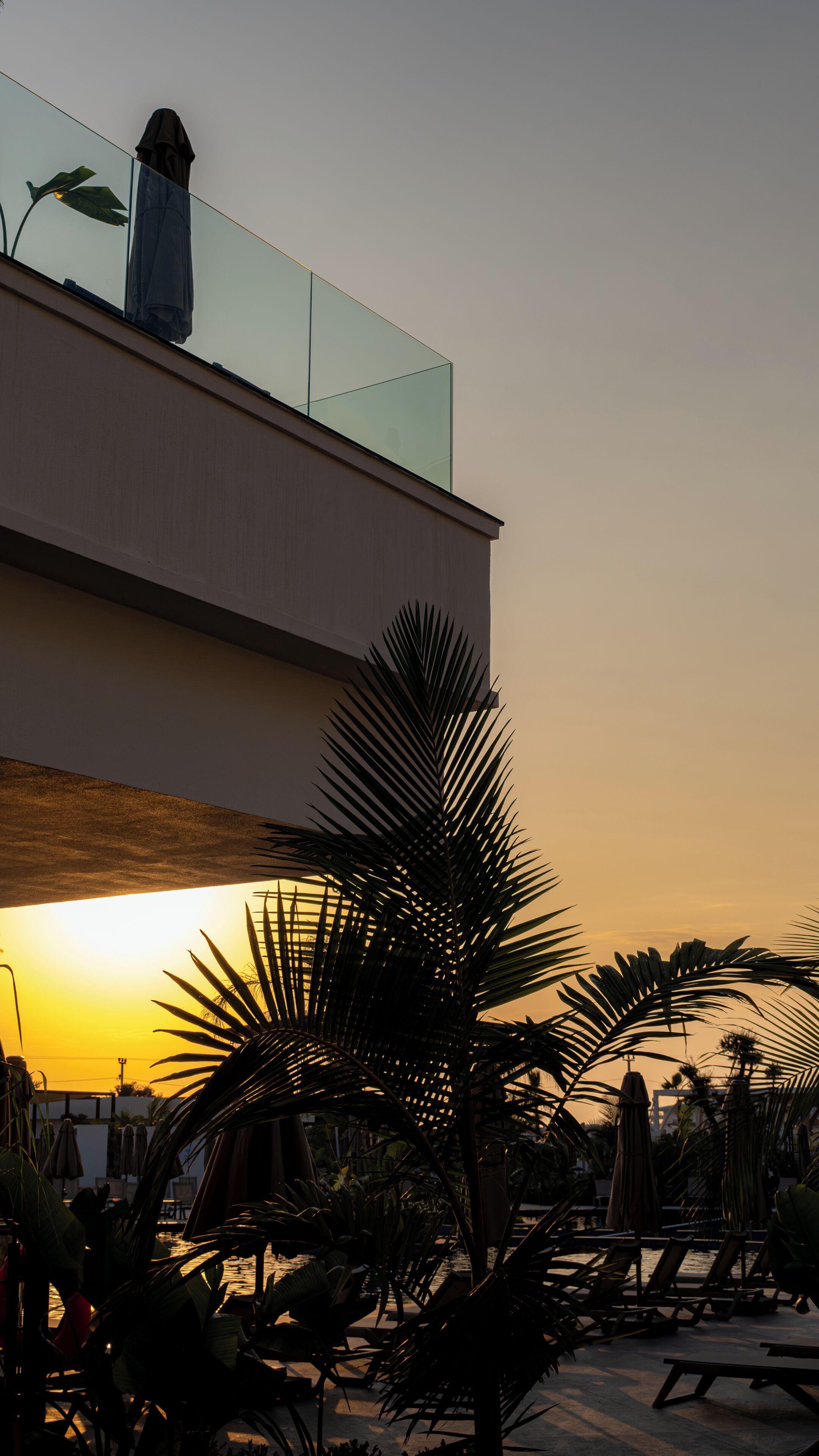 Un edificio moderno con balcón de cristal que da a una zona de piscina con tumbonas y palmeras.
