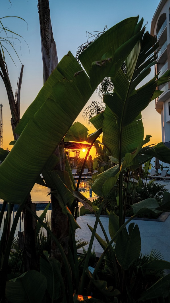 A tropical resort with a pool, lounge chairs, and large banana leaves framing the view. - Raxeria Hotel - All Inclusive (Manavgat)