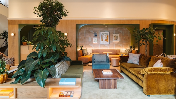 A modern living room with a large plant, a sofa, a coffee table, and a bookshelf. - The Eades Store Projects Studio (London)