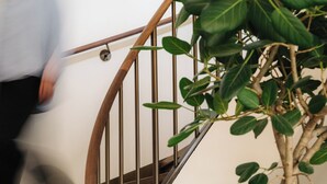 A wooden staircase with a metal railing and a potted plant with twisted roots. - The Eades Laura Perryman 1 Bed (London)