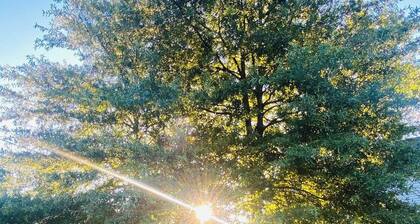 Welcoming 3-bedroom bungalow in South Beloit