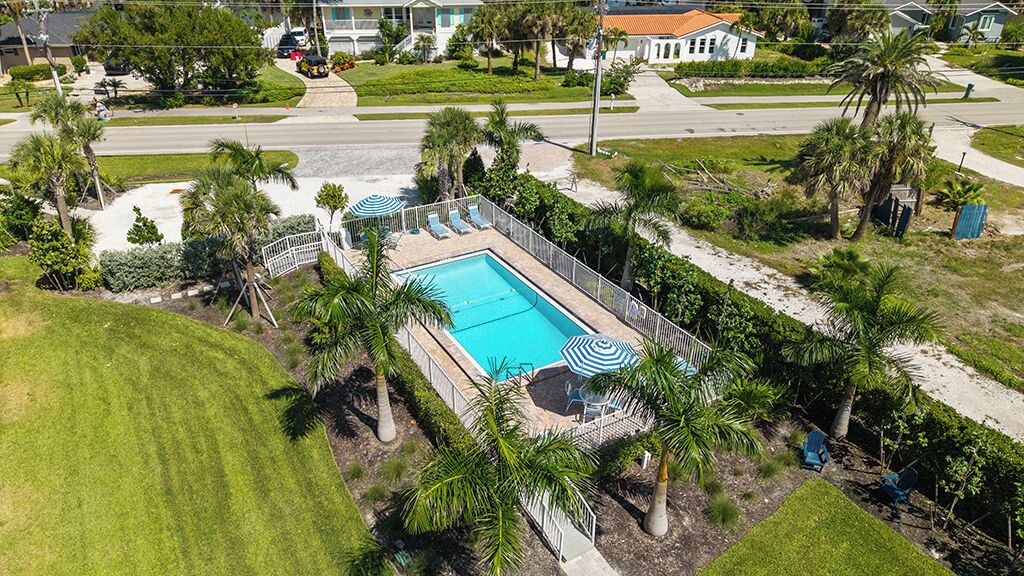 A rectangular swimming pool with a blue center, surrounded by palm trees and a white fence.