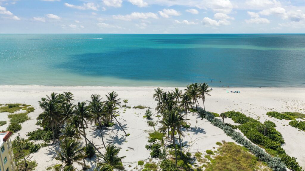 A beach with white sand, palm trees, and a clear blue ocean.