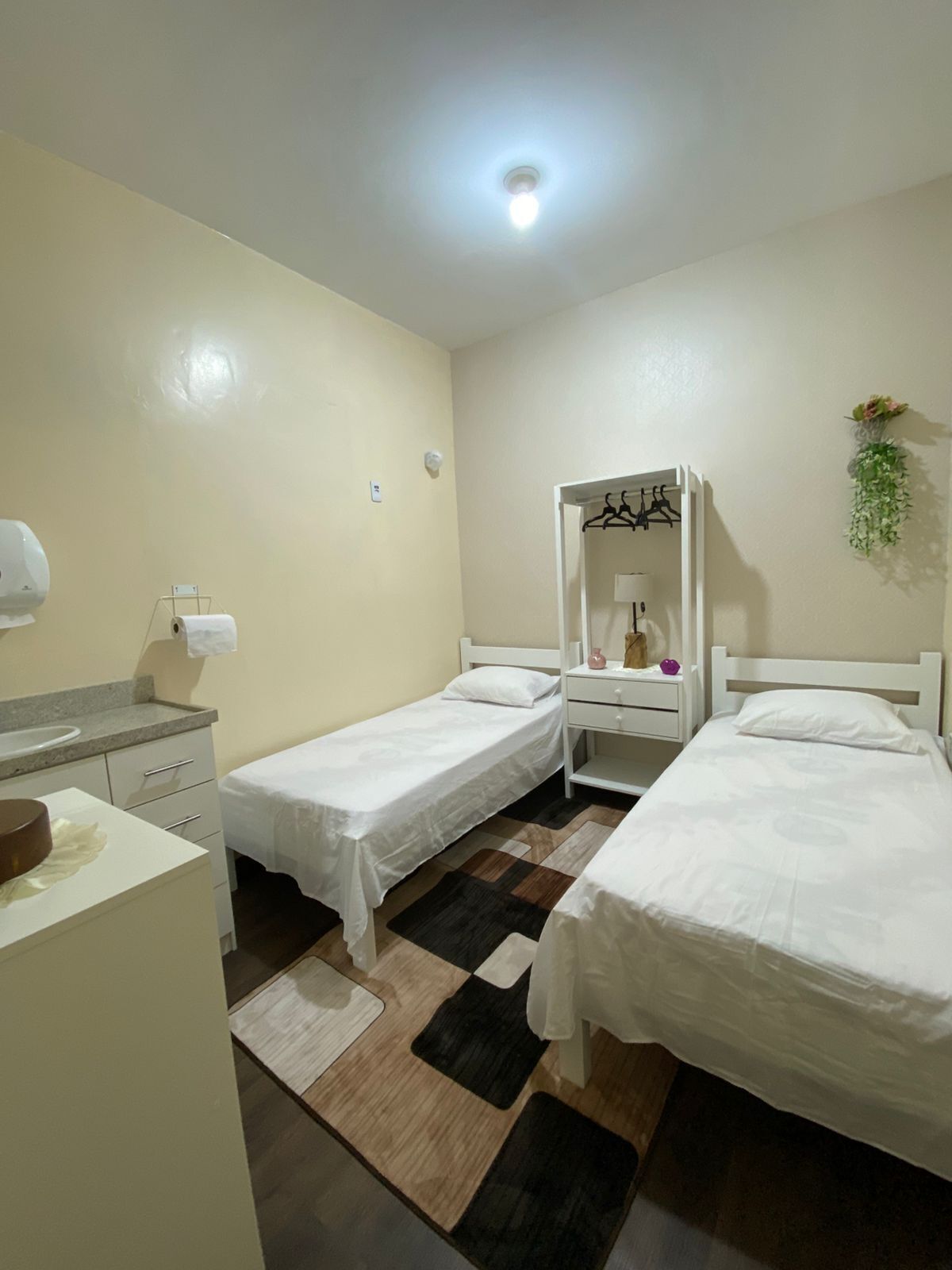 A small, clean room with two single beds, a bedside table, a mirror, and a hanging plant.