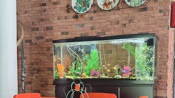 用餐