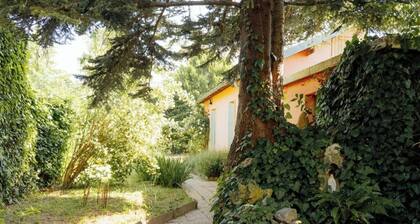 House in the heart of Tarbes