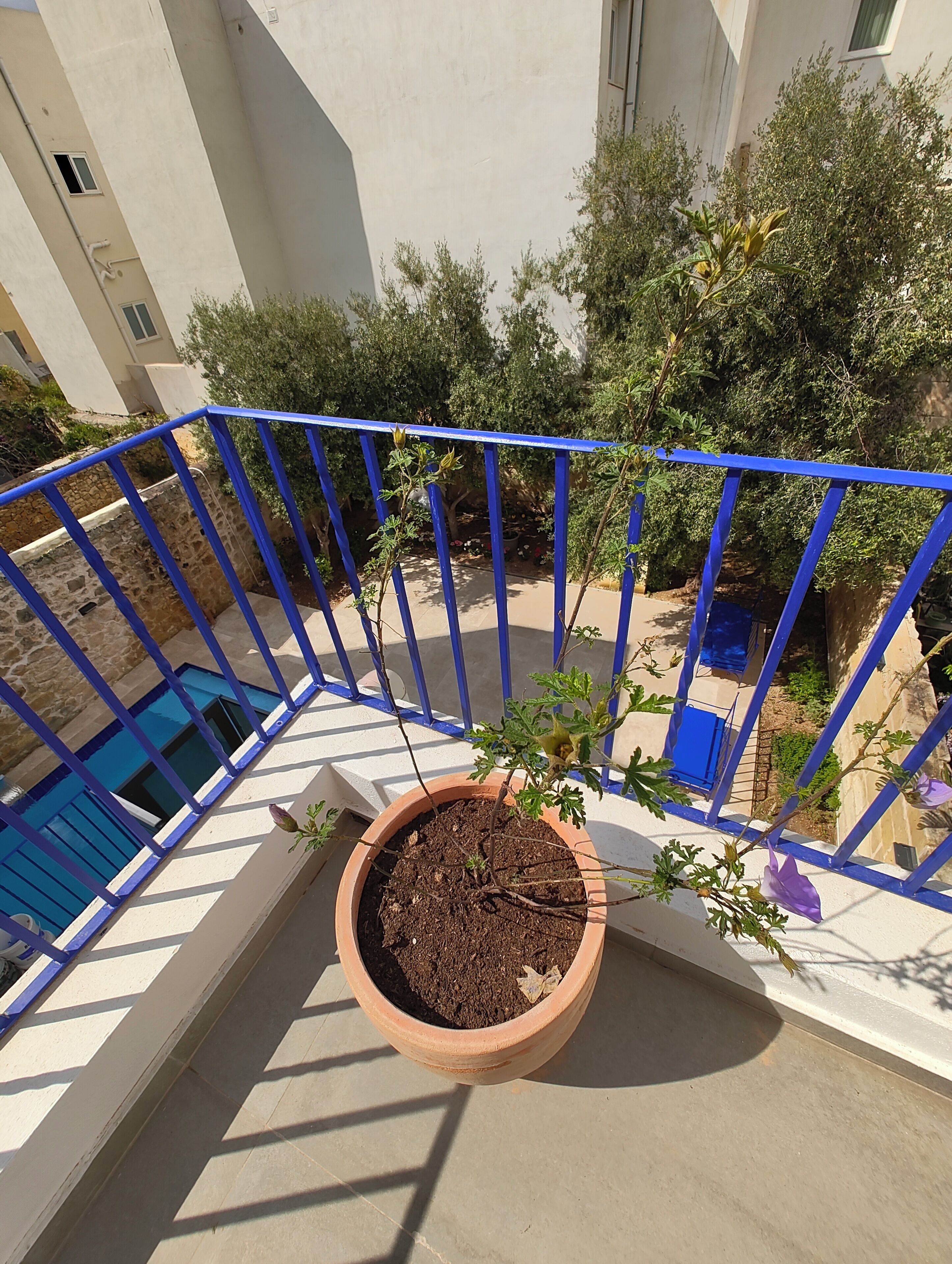 Habitación doble Deluxe, Terraza, vista al jardín | Terraza o patio