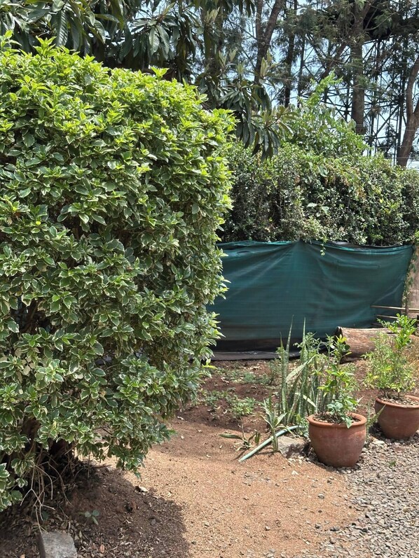 Terrein van de accommodatie