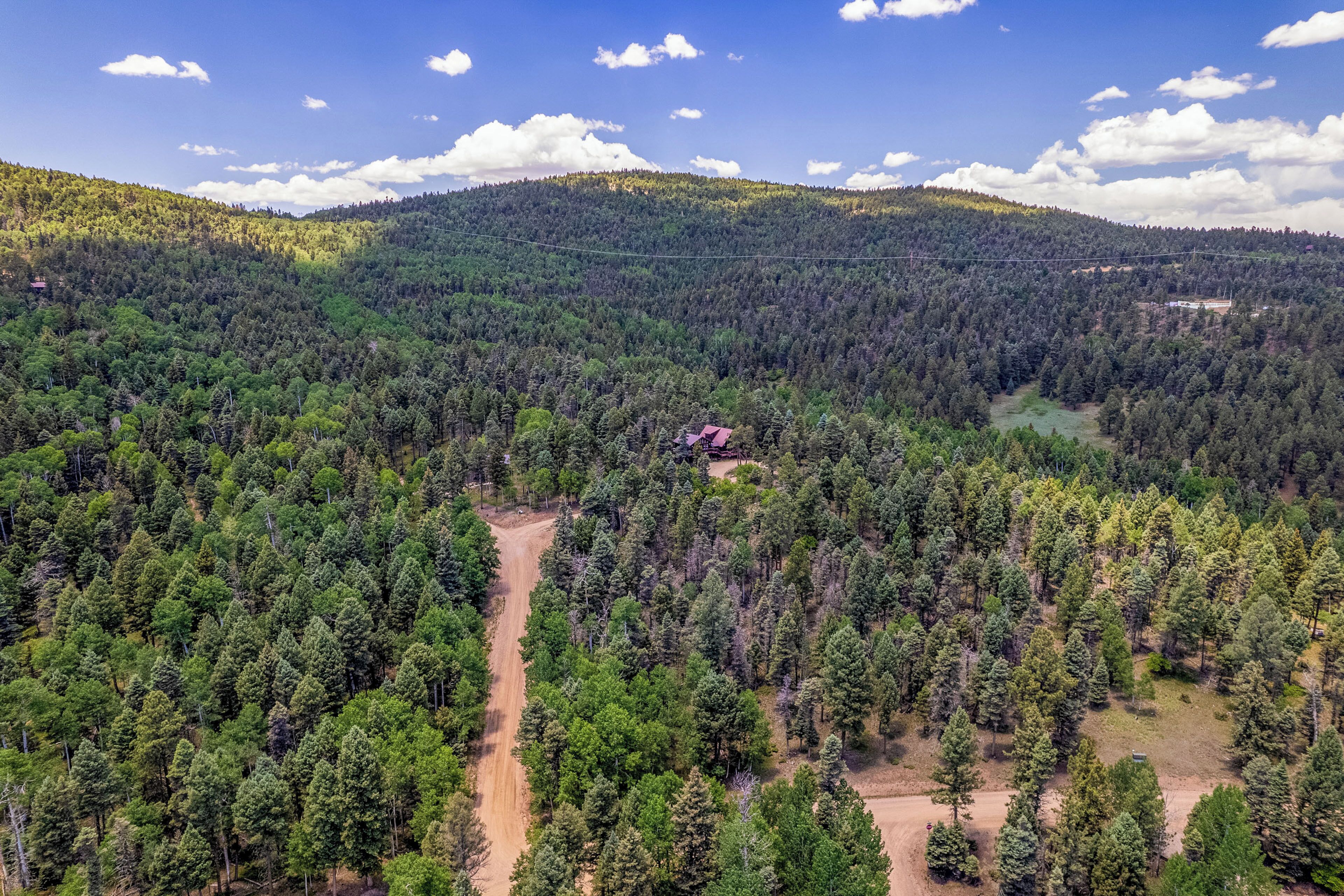 An aerial view of a forested area with a dirt path and a small building.