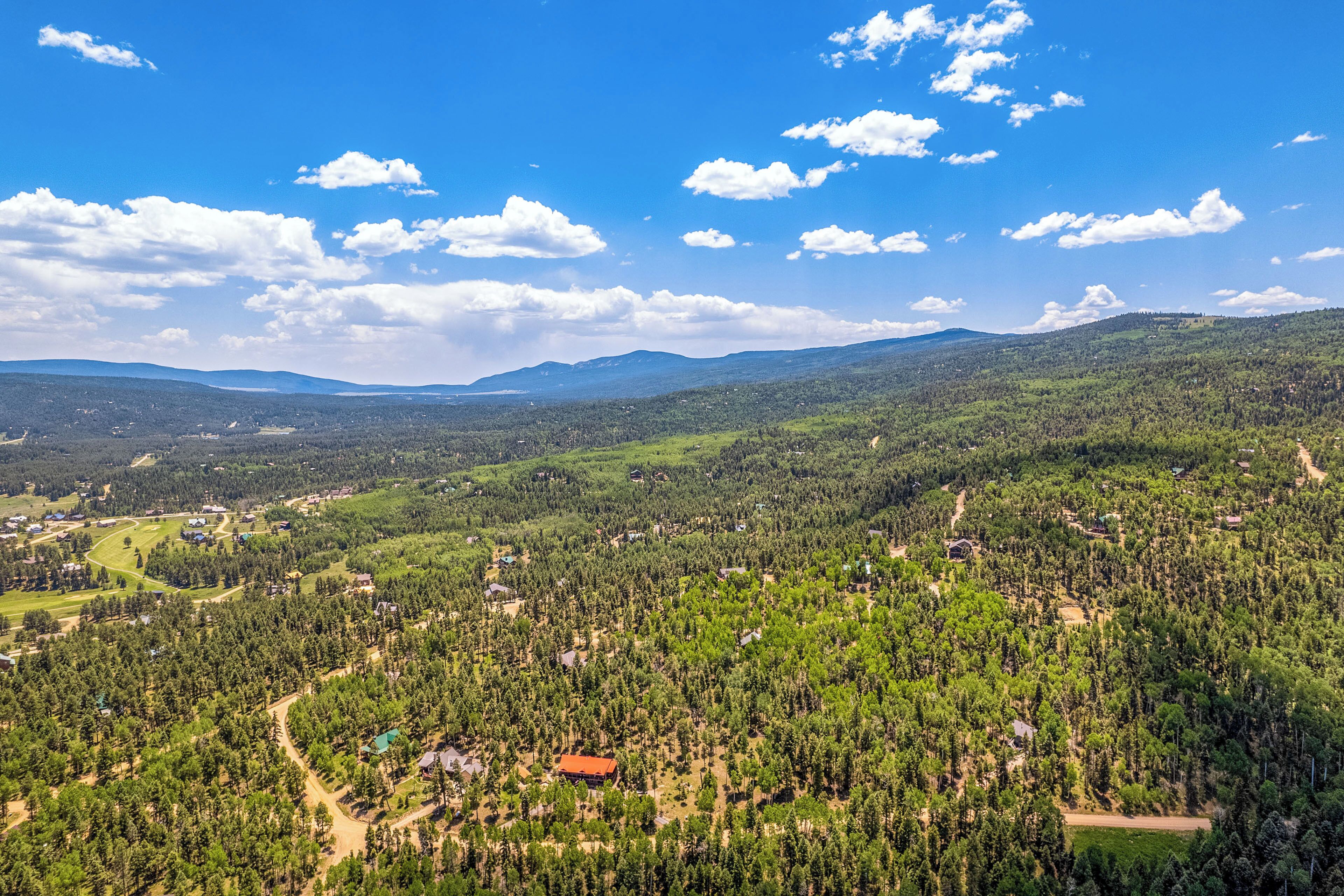 A forested landscape with scattered buildings, a clear sky, and distant mountains.