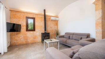 TV, fireplace, table tennis