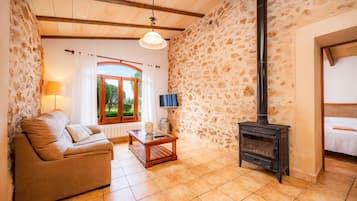 Télévision, cheminée, table de tennis de table