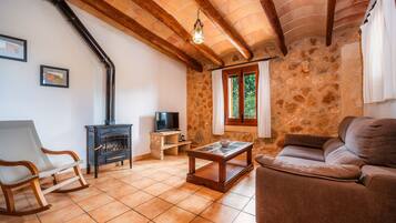 Televisie, een open haard en een tafeltennistafel