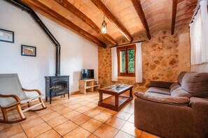 Televisión, chimenea y tenis de mesa 