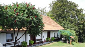 A white building with a red-tiled roof, a bench outside, and a tree with red flowers. - Holiday cottage surrounded by vineyards (Zgornji Leskovec)