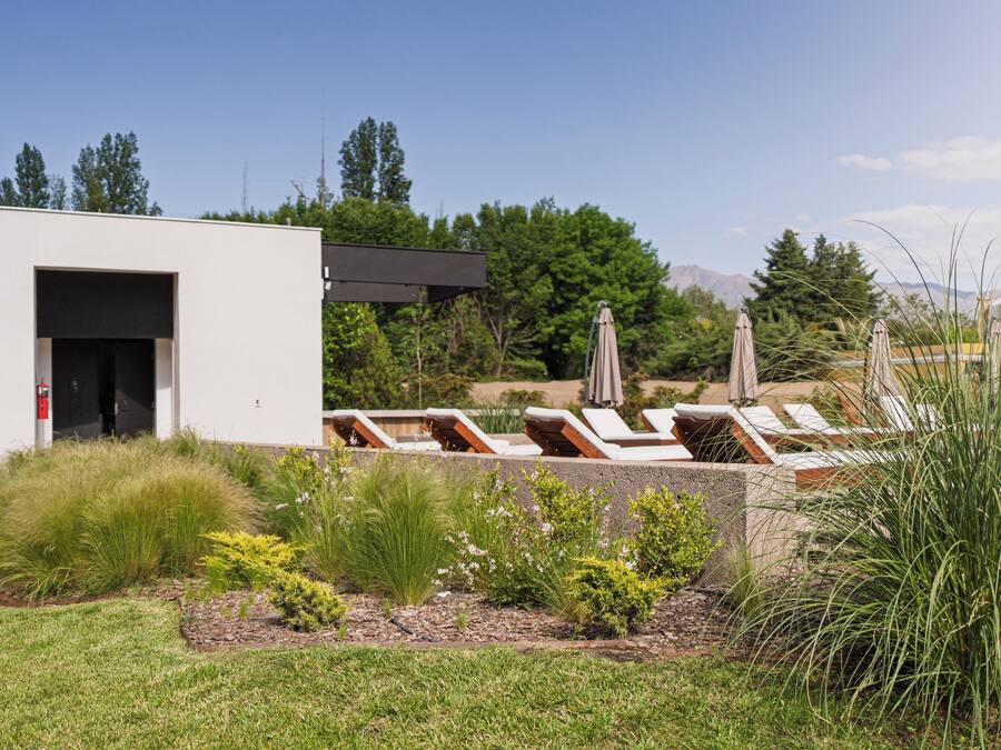 A modern building with a white exterior, a black door, and a small garden area with grass, shrubs, and a concrete wall.