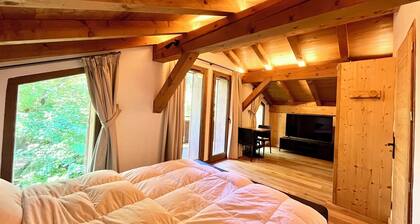 Cozy chalet in Combloux, near the slopes