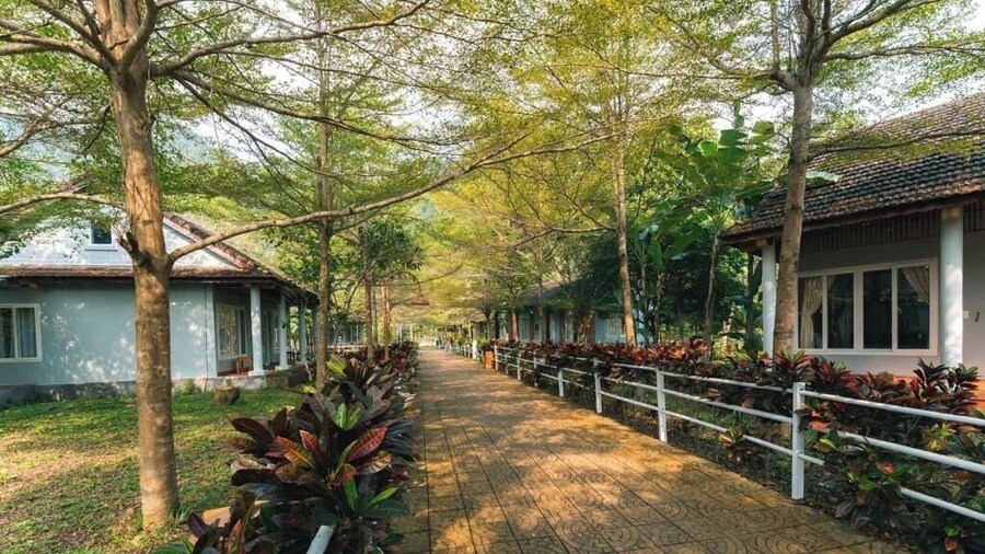 Chay Lap Farmstay Phong Nha